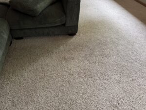 A clean light-colored carpet in a room with a sofa after professional service by American Dream Carpet Cleaning in Cedar Rapids, IA.