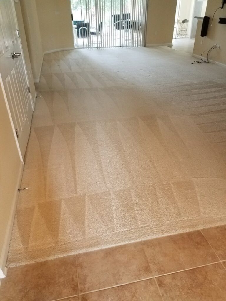Clean light-colored carpet with fresh cleaning patterns by Superior Clean Carpet and Upholstery Care in Jacksonville, FL