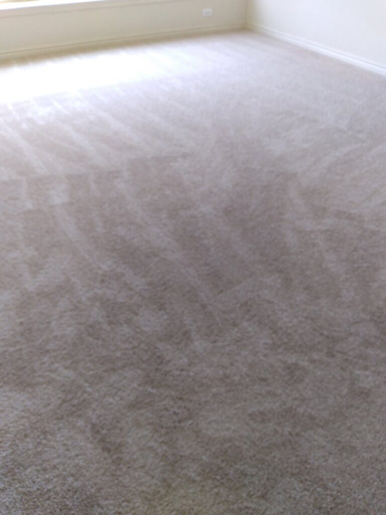 A clean, light-colored carpet with visible vacuum lines, showcasing professional results from All-Star Carpet Cleaning in Dallas, TX.