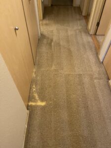 A clean, light green carpet in a hallway, showcasing a completed service by Mace Carpet Services in Tacoma, WA