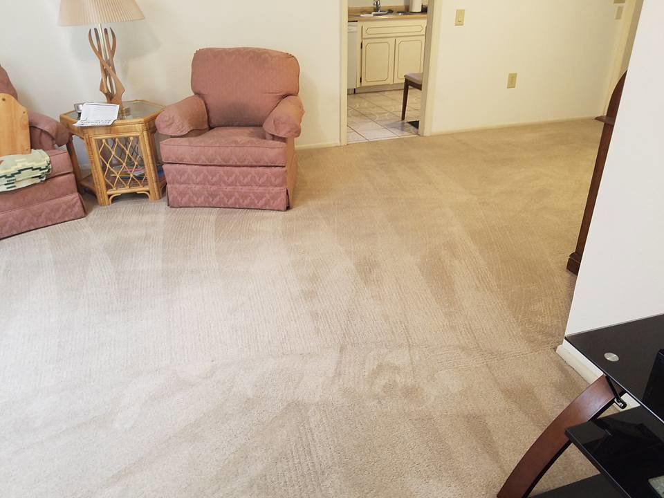 A clean living room carpet with visible cleaning lines after service by Integrity Cleaning Systems in Peoria, AZ