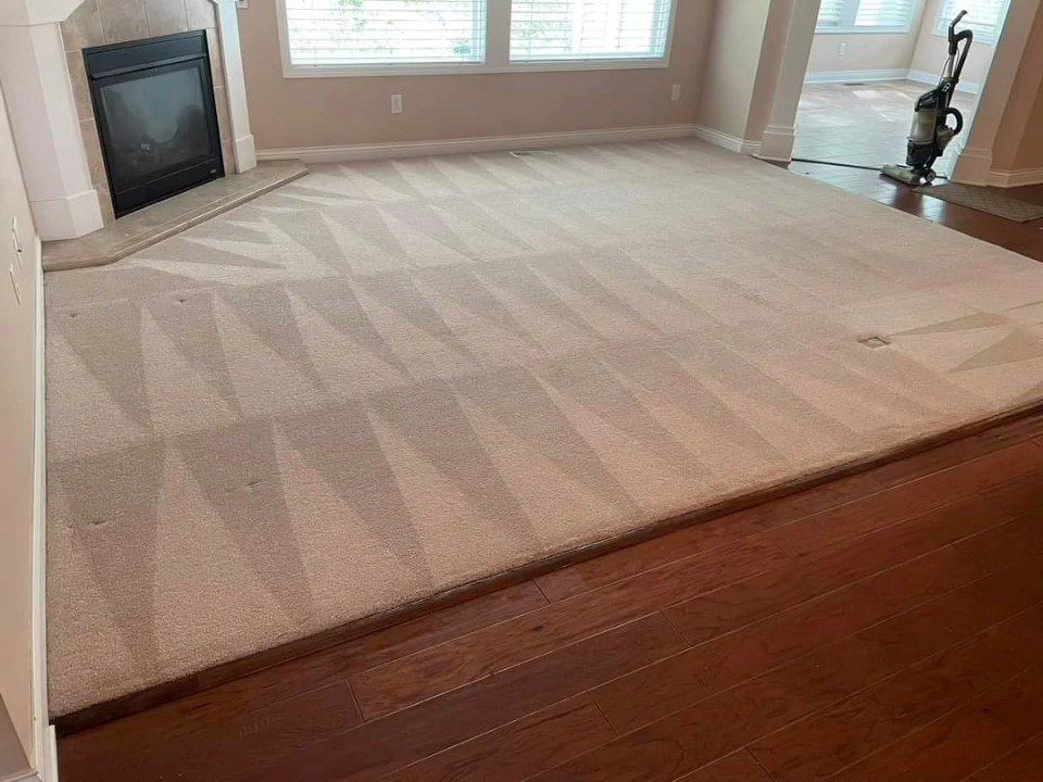 A clean living room carpet with distinct cleaning patterns after professional service by Just Right Carpet Cleaning of Goose creek moncks corner in North Charleston, SC.