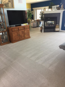 A clean living room carpet with visible cleaning lines after service by Complete Carpet Care in Fort Wayne, IN.