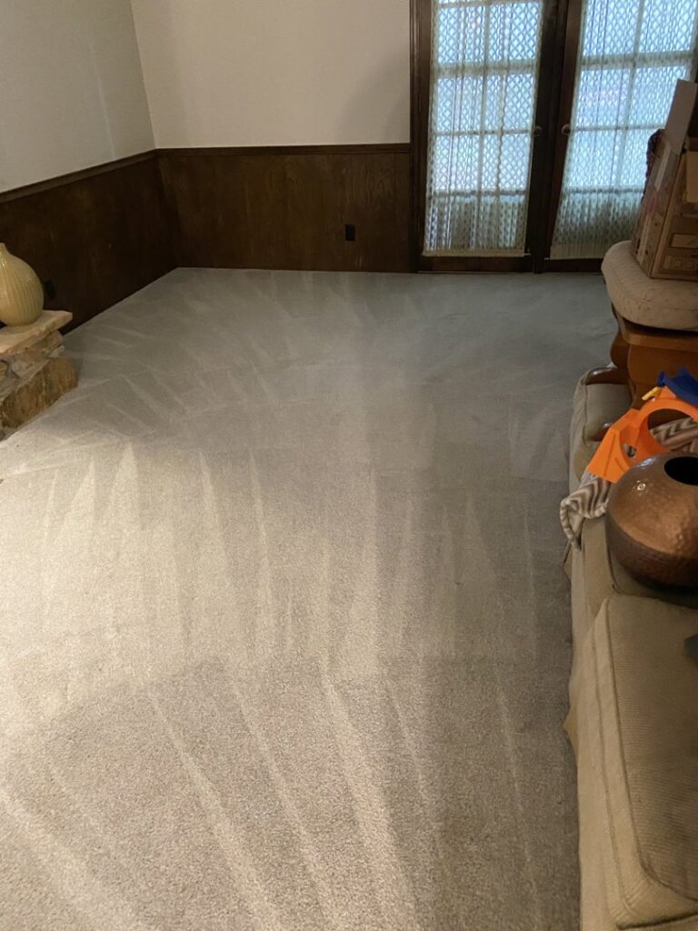 Clean living room carpet with fresh cleaning lines by Done Right Carpet Cleaning Omaha, NE.