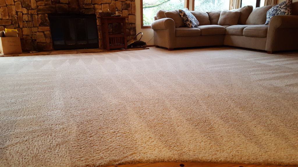 A clean living room carpet showing fresh vacuum patterns after service by Howells Carpet Cleaning in Milwaukie, OR.