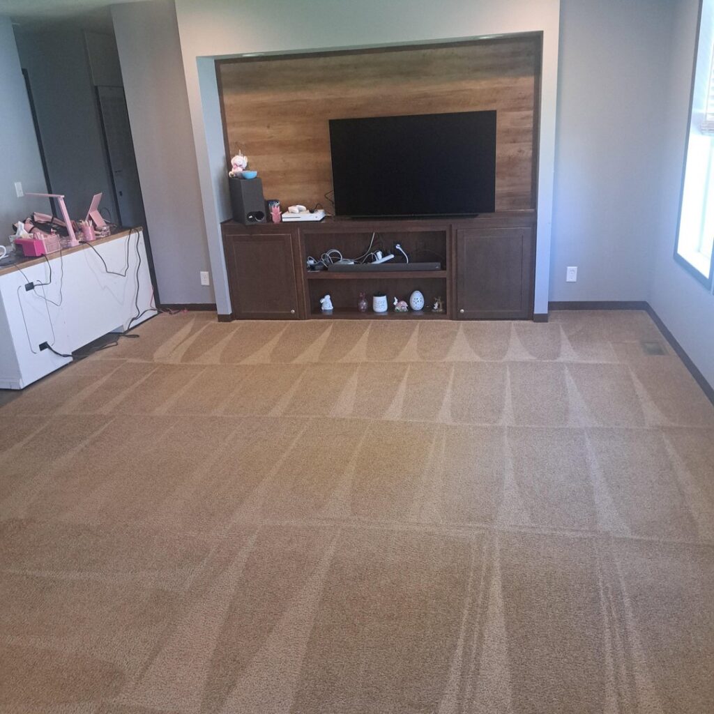 A clean living room carpet with visible cleaning lines by Let George Do It Carpet Cleaning in Omaha, NE.