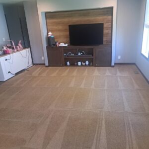 A clean living room carpet with visible cleaning lines by Let George Do It Carpet Cleaning in Omaha, NE.
