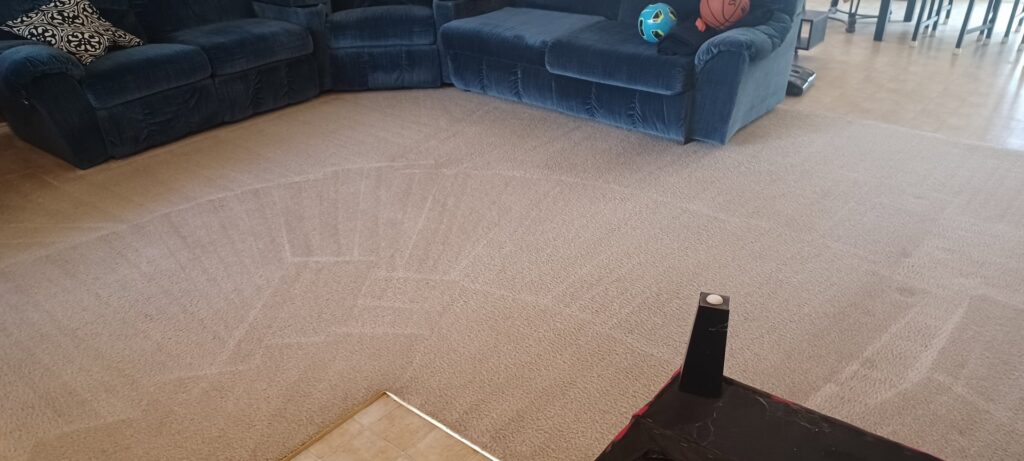 A clean living room carpet with visible cleaning patterns, showcasing the expert service of Master's Touch Steam Cleaning in San Antonio, TX.