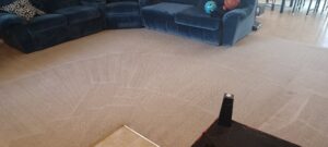 A clean living room carpet with visible cleaning patterns, showcasing the expert service of Master's Touch Steam Cleaning in San Antonio, TX.