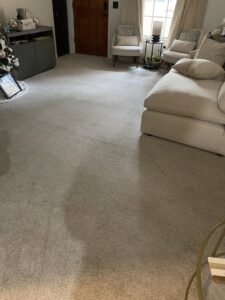 A clean, light-colored carpet in a living room after professional cleaning by Seminole Carpet Cleaning in Tallahassee, FL