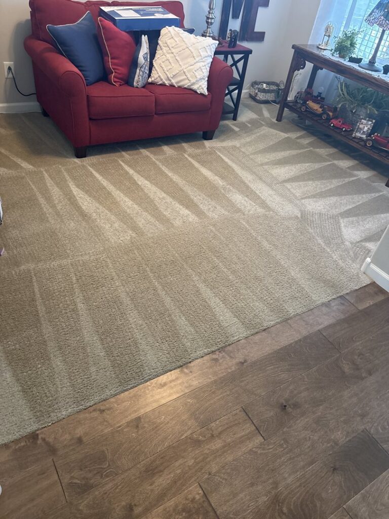A clean living room carpet with visible cleaning lines after service by Healthy Living Carpet & Tile Cleaning in Peoria, AZ.