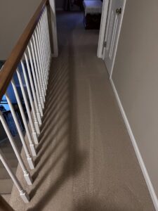 A clean light-colored living room carpet with visible cleaning lines after professional service by Hampton Carpet Cleaning Pros in Hampton, VA.