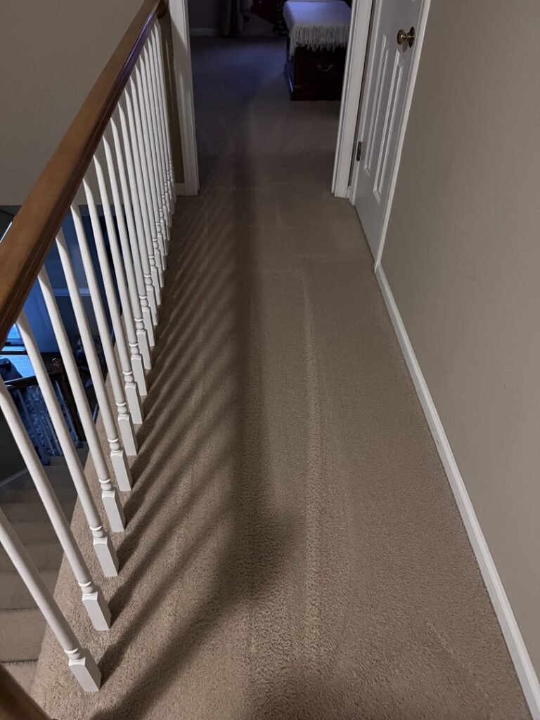 A clean light-colored living room carpet with visible cleaning lines after professional service by Hampton Carpet Cleaning Pros in Hampton, VA.
