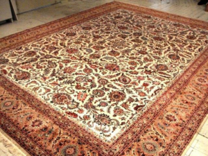 A beautifully clean and ornate area rug, showcasing the quality of work by The Rug Wash in Georgetown, KY.