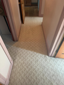 A clean, patterned carpet in a hallway after service by True Clean of Virginia, LLC in Richmond, VA