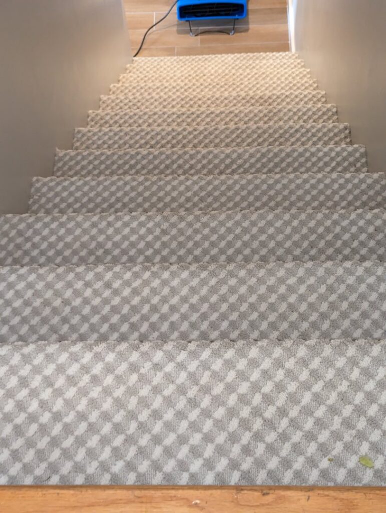 Freshly cleaned patterned carpet on a staircase by R&W Carpet Cleaning & Water Extraction in Independence, MO.