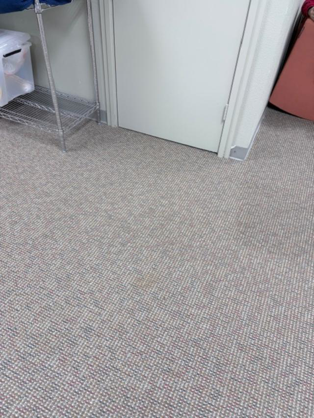 A freshly cleaned, patterned carpet in an office space by Hillsboro Carpet Cleaning in Hillsboro, OR.