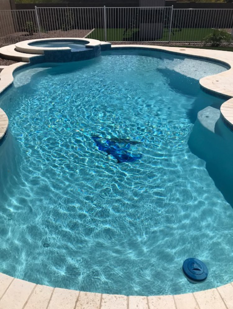 A sparkling clean swimming pool with a robotic cleaner visible, showcasing maintenance by Edward's Pool Service, LLC in Gilbert, AZ.
