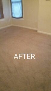 A clean residential carpet after professional cleaning service by Mint Carpet Care in Dallas, TX