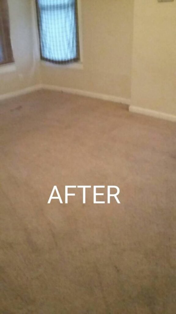 A clean residential carpet after professional cleaning service by Mint Carpet Care in Dallas, TX