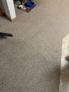 A clean residential carpet, demonstrating the quality of work by Captain Clean in Muncie, IN.
