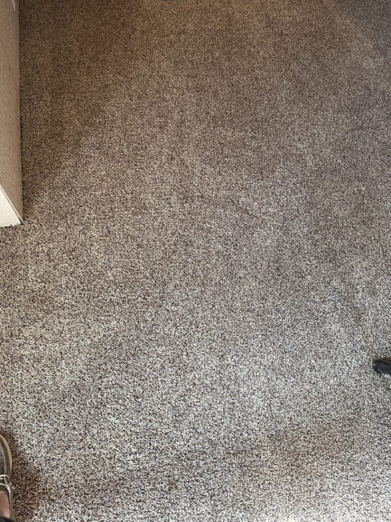 A clean residential carpet floor, showcasing the quality work by Homestead Carpet Care in Rapid City, SD.