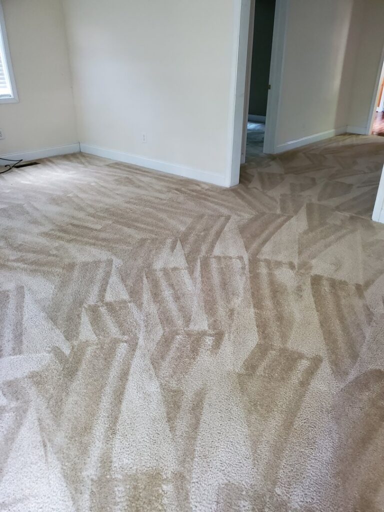 A residential room with light brown carpet showing distinct cleaning patterns from Kingdom Kleen in Portsmouth, VA.