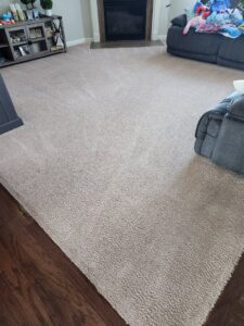 Clean residential carpet in a home after service by Roberts Cleaning Services in Zionsville, IN.