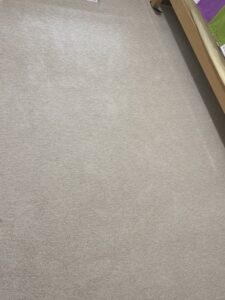 Clean residential carpet with visible cleaning lines by Roberts Cleaning Services in Zionsville, IN.