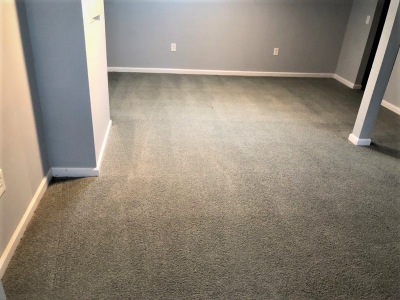 A clean carpet in a room after professional cleaning service by Rochester Cleanpro in Rochester, NY.