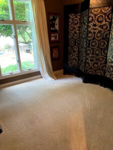 A spotless, light-colored carpet in a room with a large window, demonstrating the quality work of Bee's Dry Organic Carpet Cleaning in San Antonio, TX.