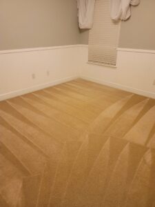 Clean tan carpet with fresh vacuum lines after service by Superior Clean Carpet and Upholstery Care in Jacksonville, FL