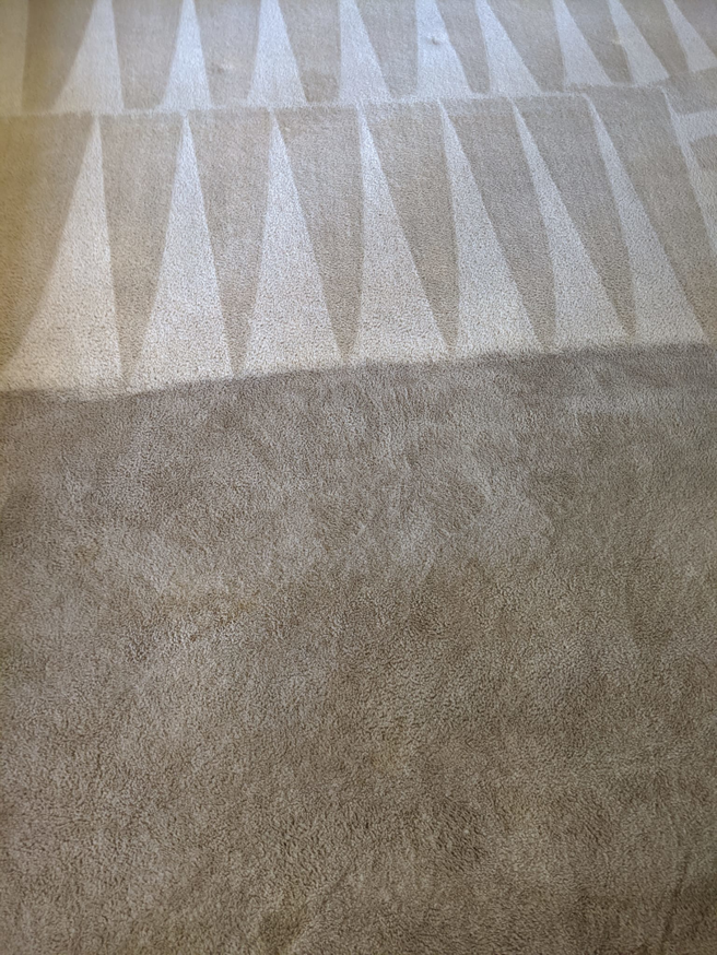A close-up of carpet showing a clear difference between cleaned and uncleaned sections by Green Planet Carpet Cleaning in Bloomington, MN.