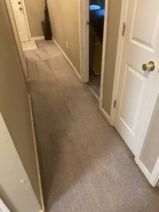 A bedroom with light-colored carpet showing distinct cleaning lines after a professional cleaning by Reynolds Carpet Care in Henrico, VA.