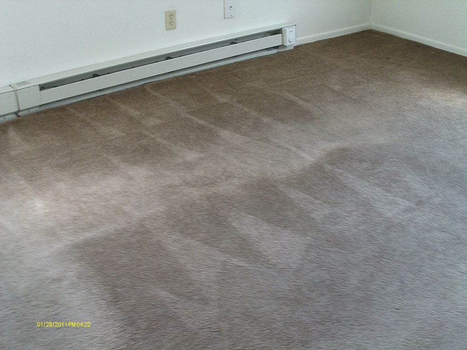 Freshly cleaned brown carpet with visible cleaning lines by Marty B's General Klean in Cincinnati, OH.