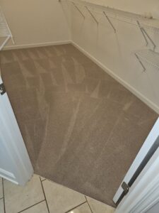 A freshly cleaned carpet with distinct vacuum lines in a closet by Right & Clean Atlanta 24-7 Carpet Cleaning in Atlanta, GA.
