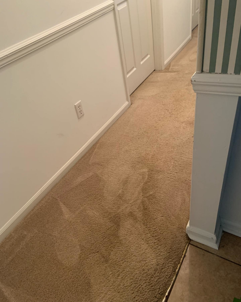 Cleaned carpet in a residential hallway by Holland's pressure washing and carpet cleaning LLC in Columbus, GA