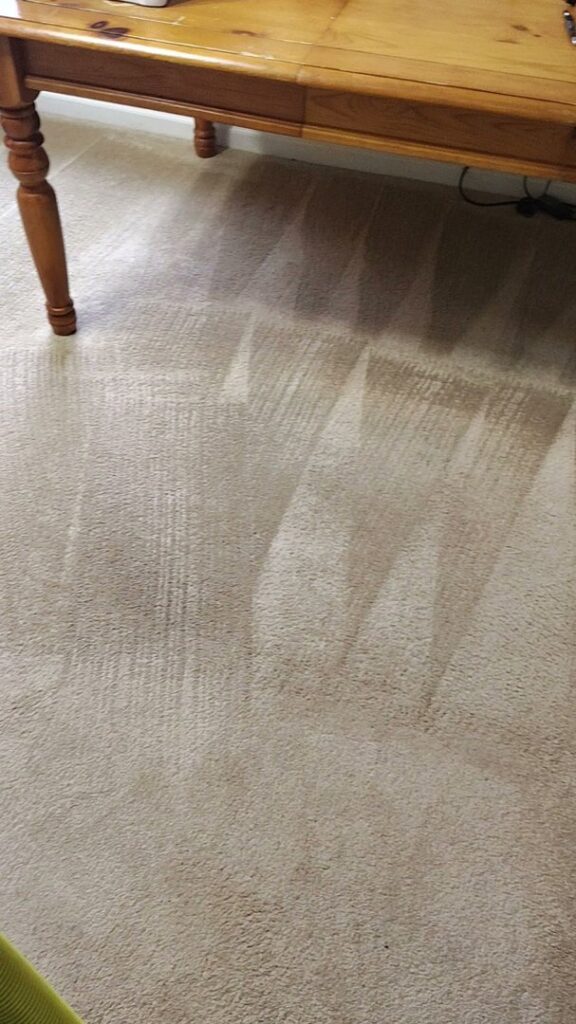 A freshly cleaned carpeted floor with distinct cleaning patterns under a table by D&D Carpet Cleaning & Janitorial in West Columbia, SC
