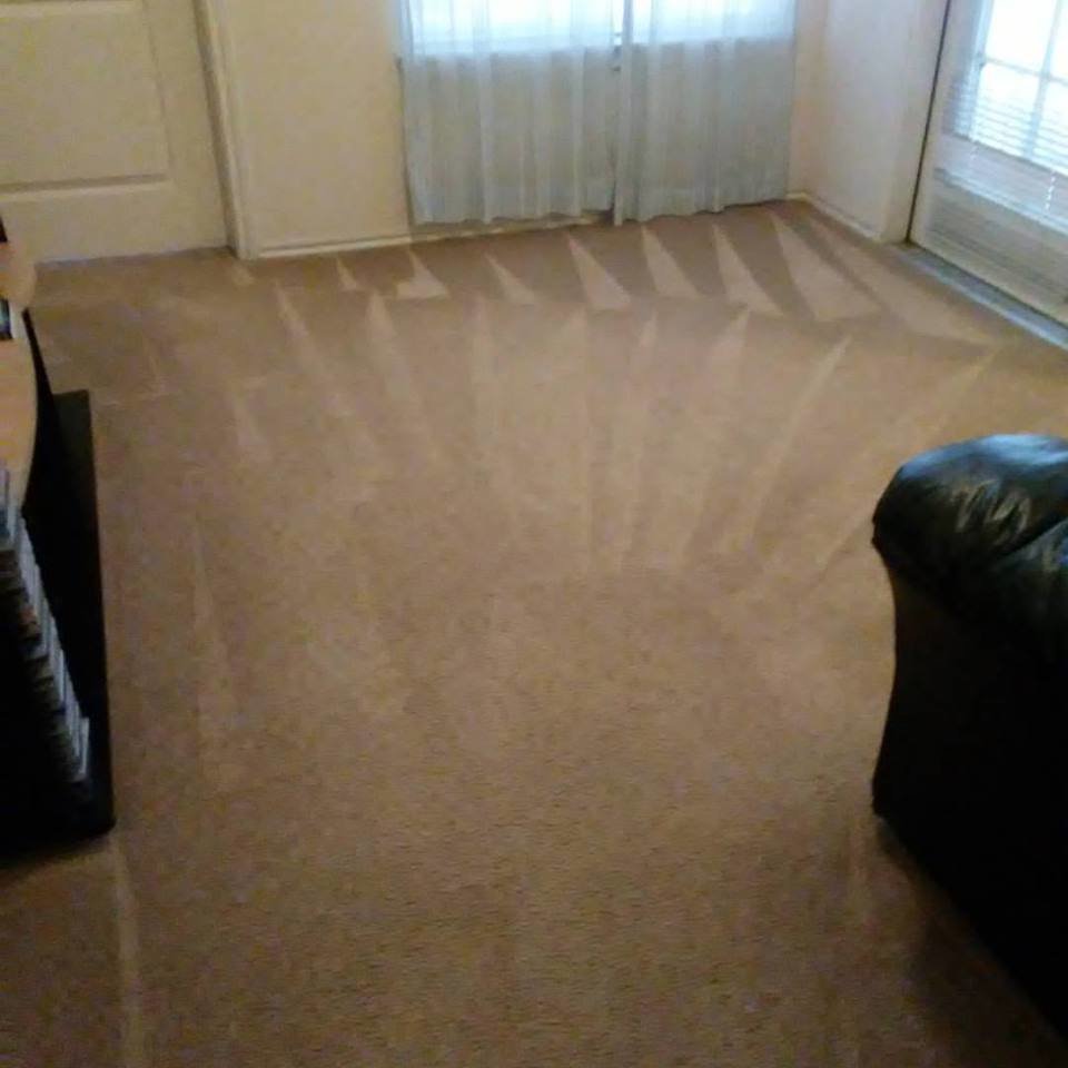 A freshly cleaned carpet showing distinct cleaning lines from A Brighter Cleaning Service in Arlington, TX.