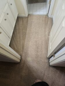 A carpeted hallway showing visible cleaning lines after a professional cleaning by Reynolds Carpet Care in Henrico, VA.