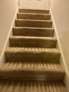 Professionally cleaned carpeted stairs with visible cleaning patterns by Deep Wave Cleaning Solutions in Summerville, SC