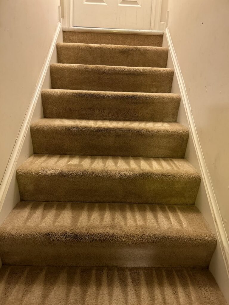 Professionally cleaned carpeted stairs with visible cleaning patterns by Deep Wave Cleaning Solutions in Summerville, SC