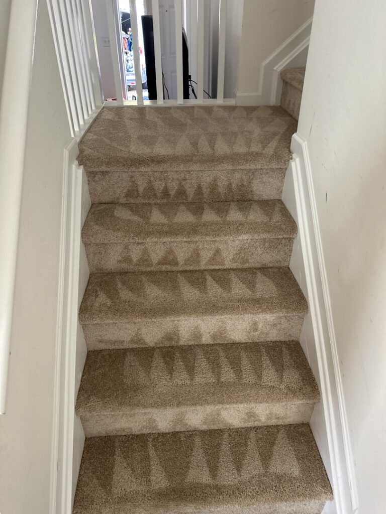 Freshly cleaned carpeted stairs with visible cleaning lines, showcasing expert service from Ype Cleaning LLC in Monroe, NC.