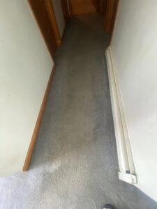 A freshly cleaned grey carpet in a hallway, showing cleaning lines, by Goode Home Services in Dover, DE.
