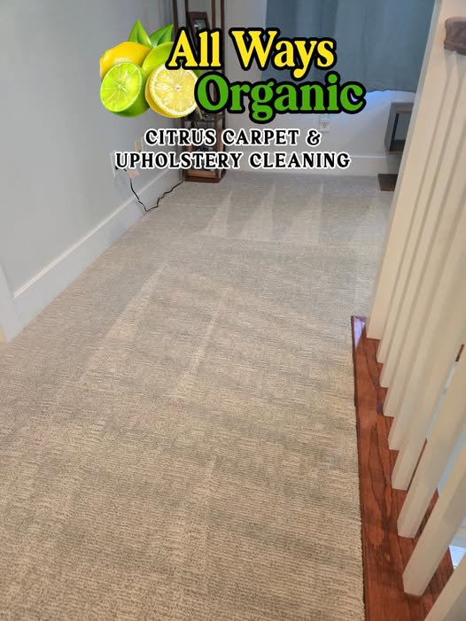 Freshly cleaned hallway carpet with visible cleaning lines by All Ways Organic Citrus Carpet & Upholstery Cleaning in Wilmington, NC.