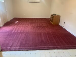 A large room with a freshly cleaned red carpet showing distinct cleaning lines by Reynolds Carpet Care in Henrico, VA.