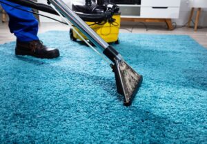 A professional cleaning a vibrant blue shag rug with a carpet cleaning wand for North Seattle Carpet Cleaning in Seattle, WA