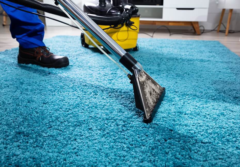 A professional cleaning a vibrant blue shag rug with a carpet cleaning wand for North Seattle Carpet Cleaning in Seattle, WA