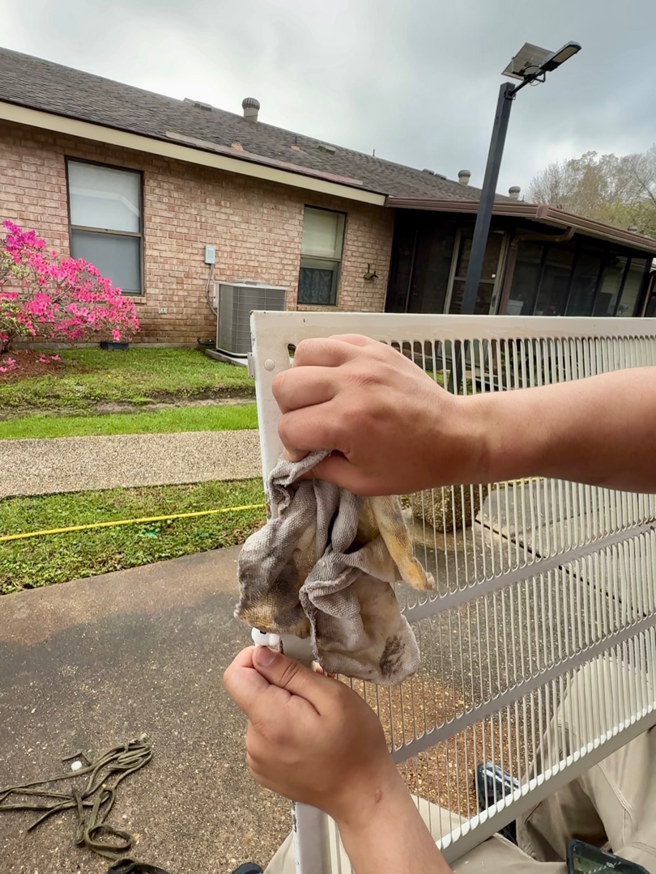 A technician's hands meticulously cleaning a dirty air vent cover during a service call by Duct Doctor of Baton Rouge, LA.