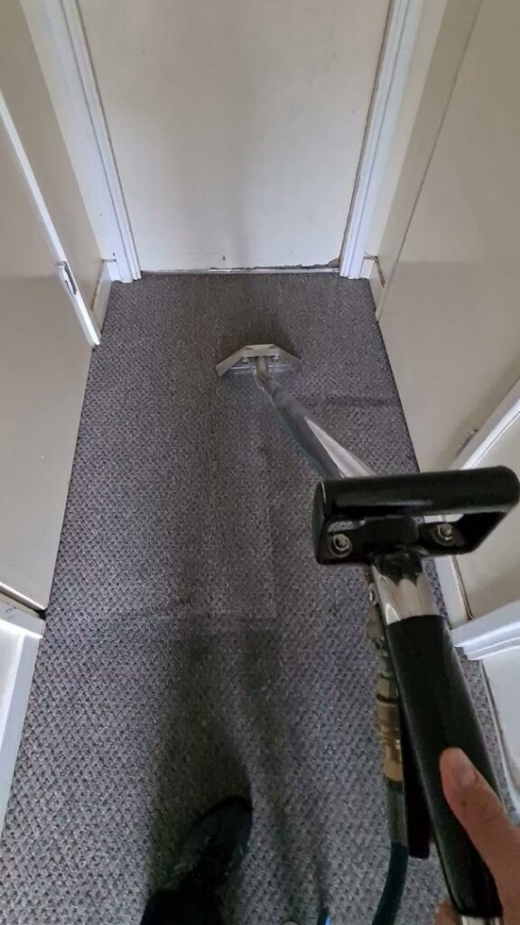 A professional cleaning tool being used to clean a hallway carpet by GreenLine Carpet Cleaning in Aurora, CO.
